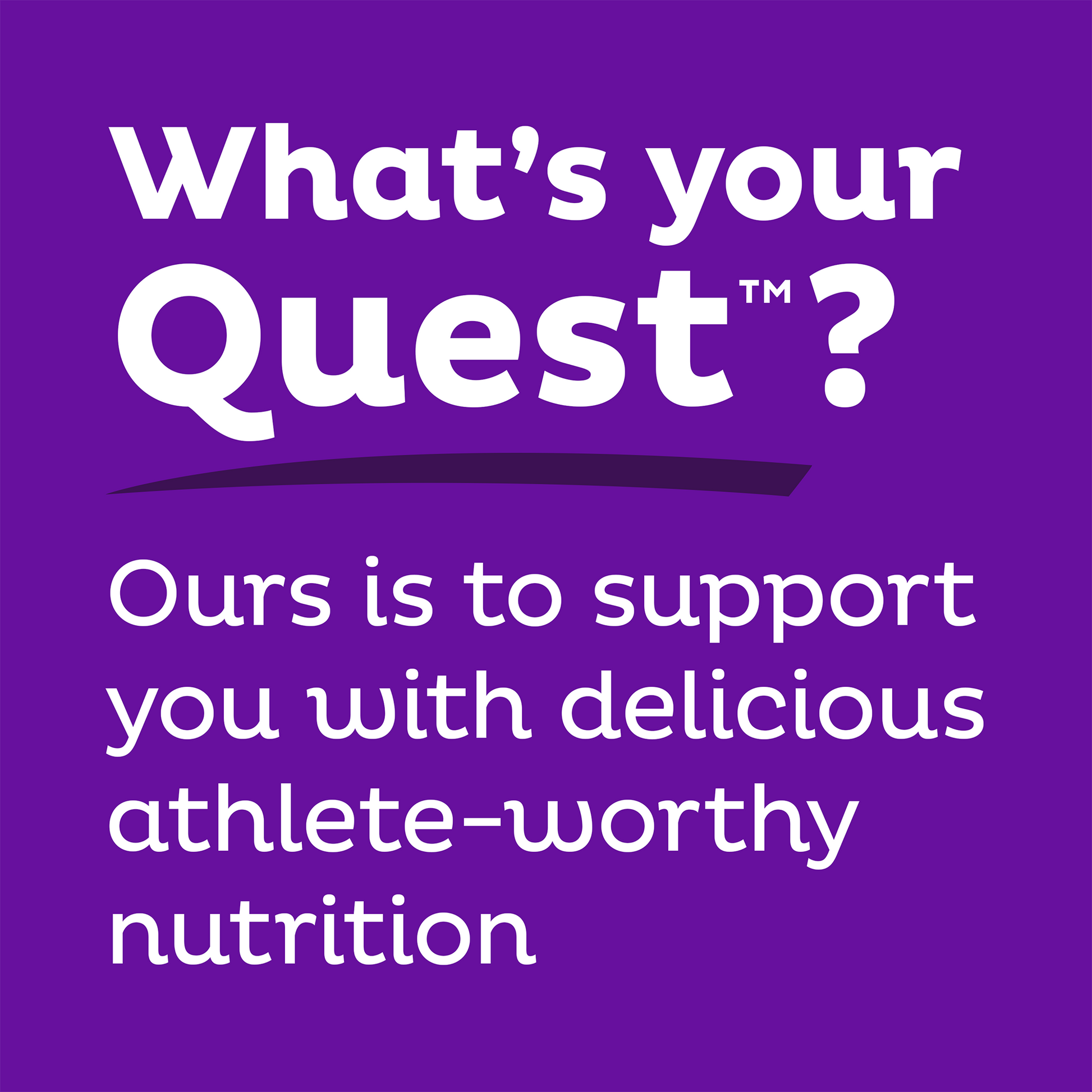 double-chocolate-chunk-protein-bars-m8 qst-000241_double-chocolate-chunk-protein-bars_9.png